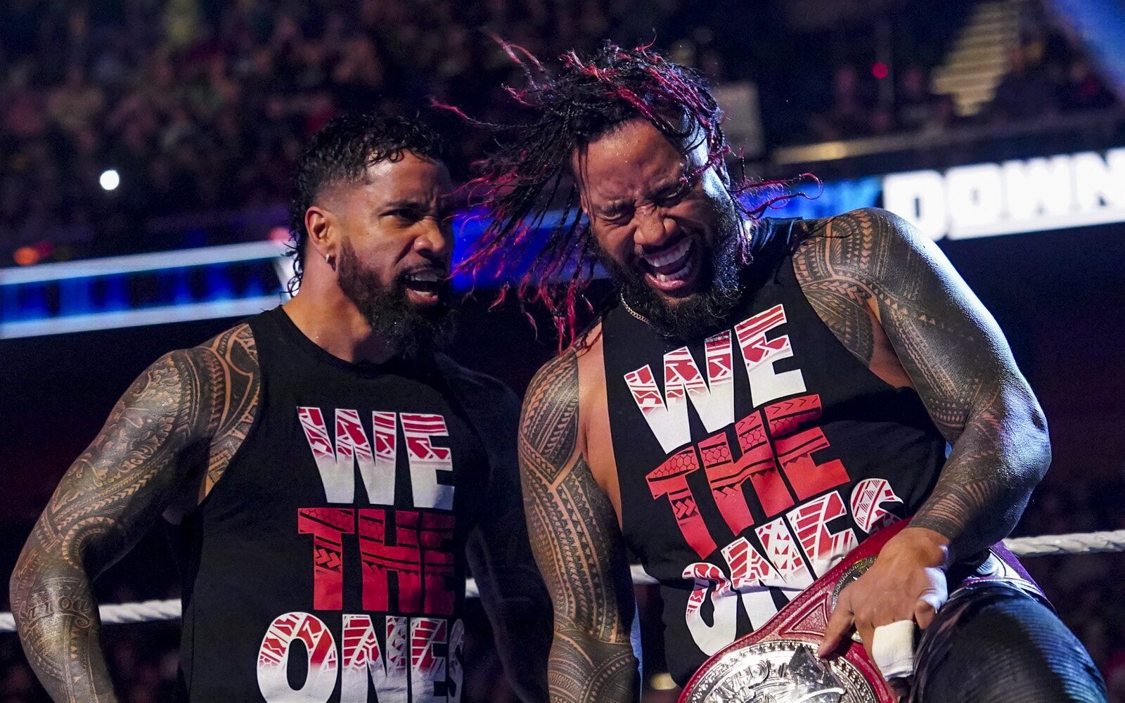 Os Usos talvez estejam no WWE Elimination Chamber
