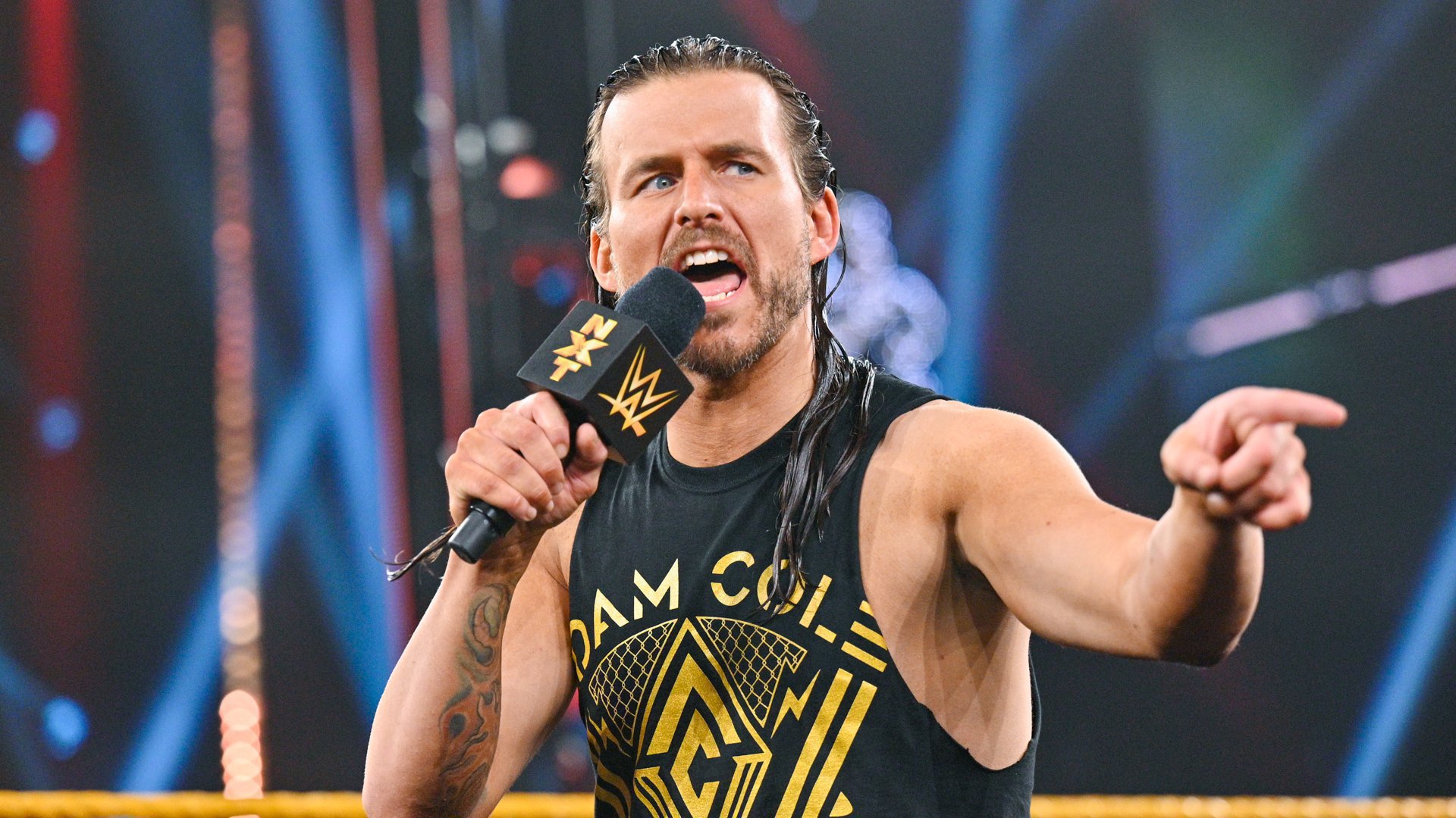 Adam Cole no WWE NXT