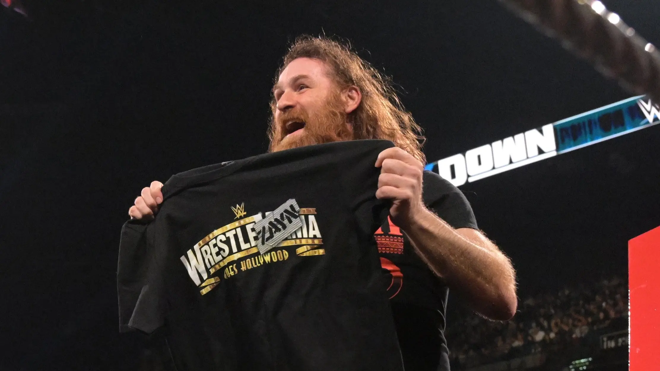 Sami Zayn