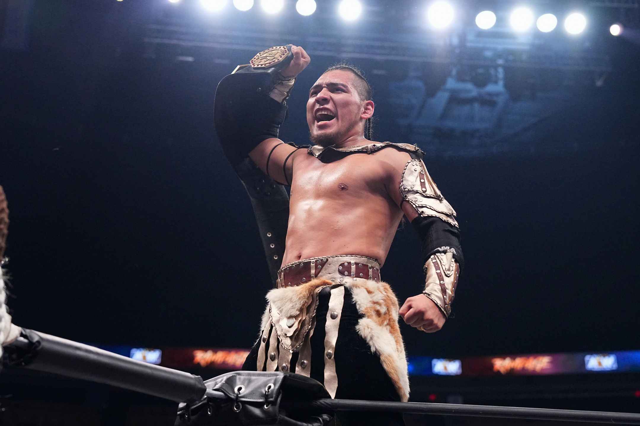 El Hijo Del Vikingo