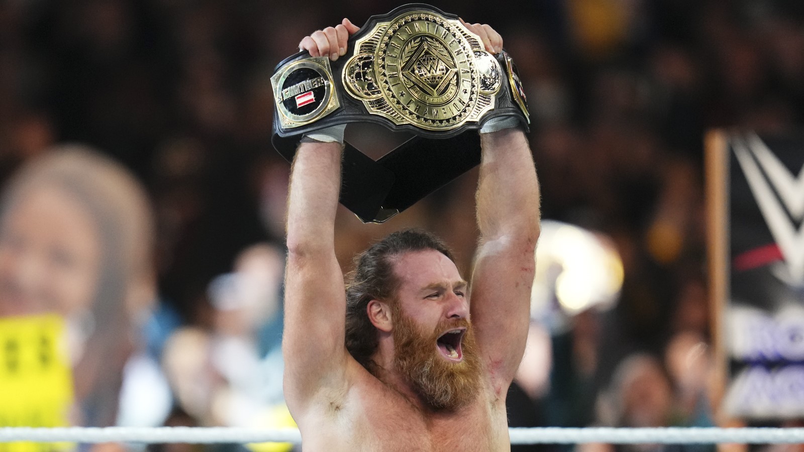 Sami Zayn