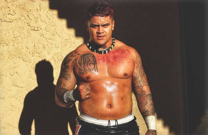 Atualização sobre possível ida de Zilla Fatu à WWE
