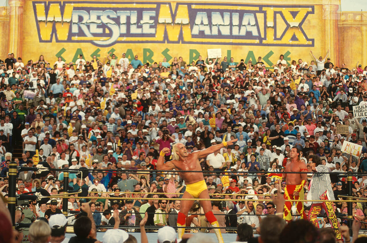 WWE WrestleMania IX